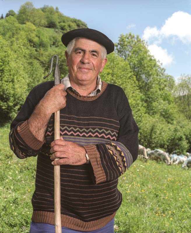 Un berger, appuyé sur sa canne de berger laisse paitre ses moutons dans les hautes Pyrénées